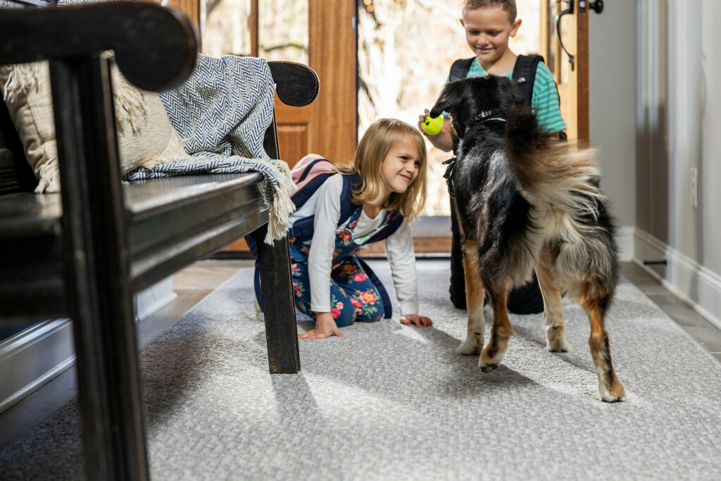 Kids plying on carpet floor with dog friendly | Staff Carpet