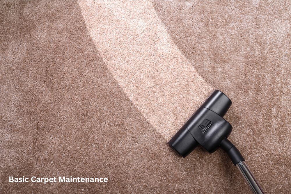 Carpet cleaning | Staff Carpet