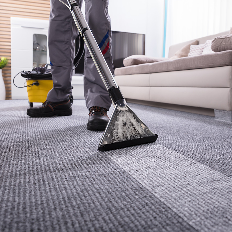 Carpet floor cleaning | Staff Carpet